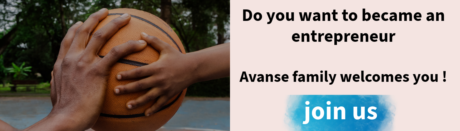 Small succulent in round planter